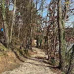 Campsite Nefes Dagyenice Dogada 3*