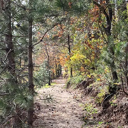 Nefes Dagyenice Dogada Campsite