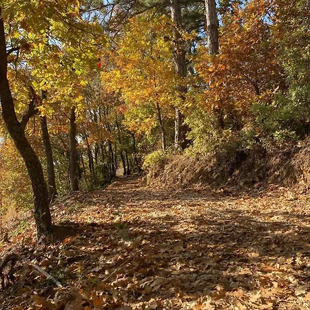 Nefes Dagyenice Dogada