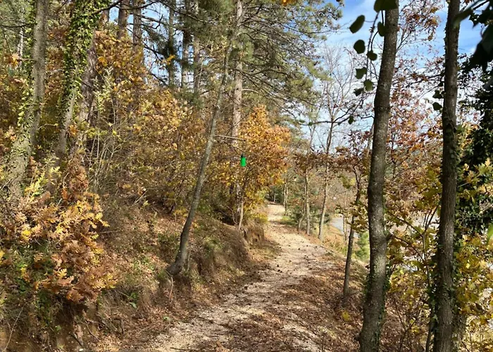 مكان تخييم Nefes Dagyenice Dogada بورصة