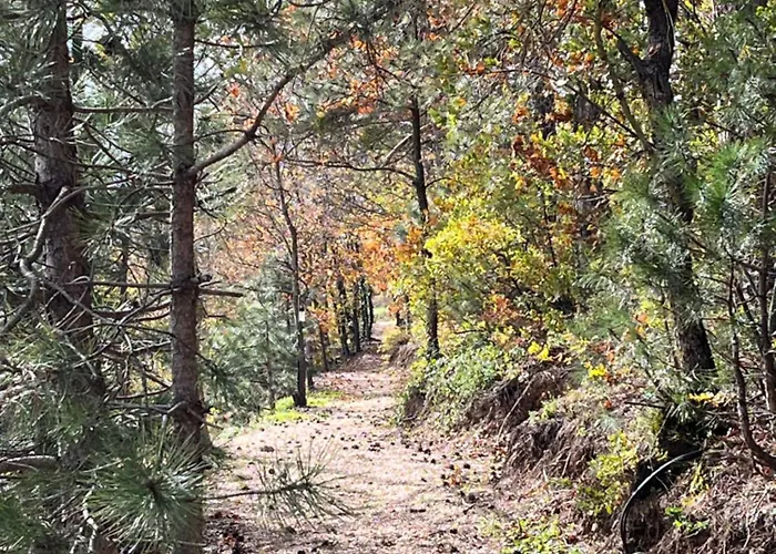 Nefes Dagyenice Dogada Campsite