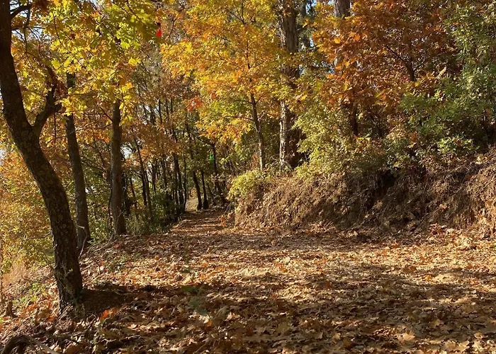 Nefes Dagyenice Dogada